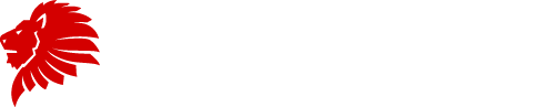 letzvolley